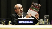  FAO  DG José Graziano da Silva