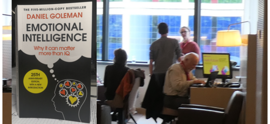Book Emotional Intelligence by D. Goleman and people at work 