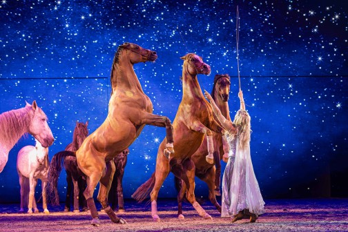 Cavalluna (c) Bimar Markus Steffen